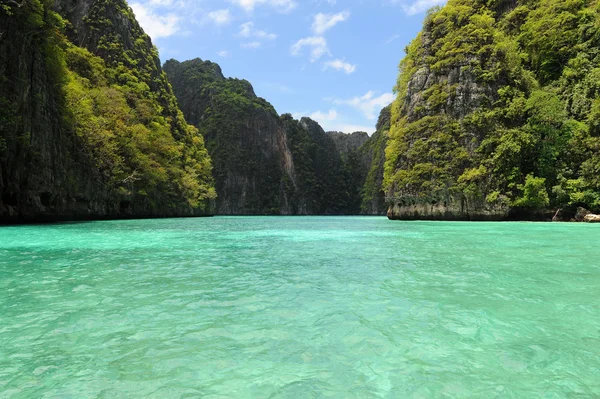 Green lagoon — Stock Photo, Image