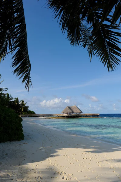 Maledivy pláž — Stock fotografie