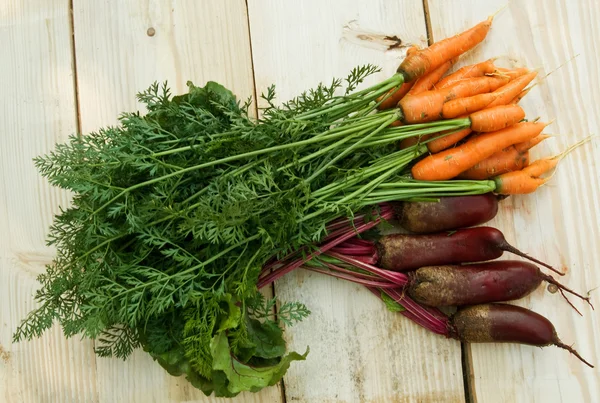 Carrot and beets — Stock Photo, Image