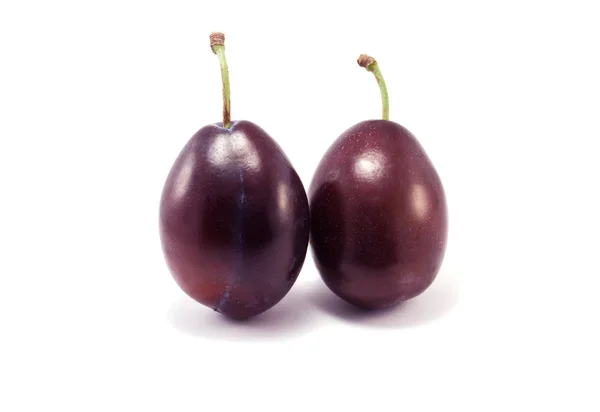 Deux prunes — Photo