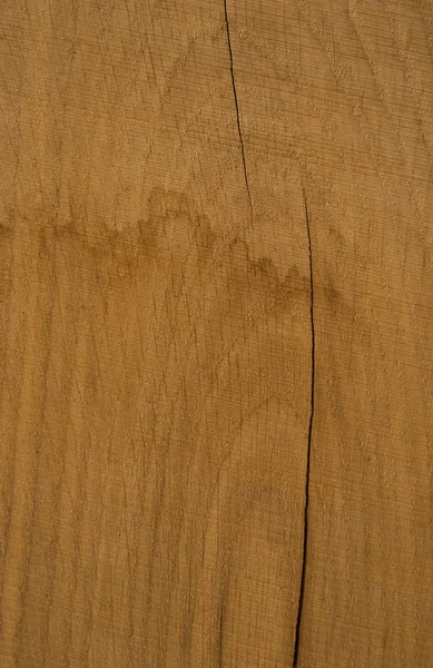 Wood close up — Stock Photo, Image