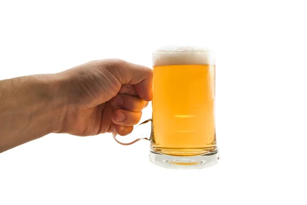 Stock image Beer