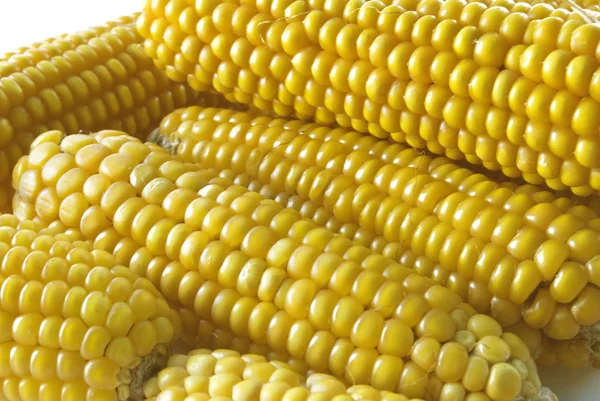 Kukorica — Stock Fotó