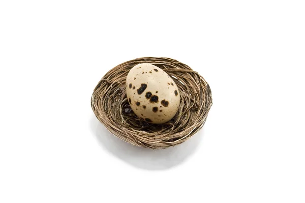 Яйце і гніздом — стокове фото