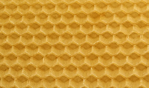 Nids d'abeilles — Photo