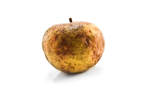 Σάπιο μήλο — Φωτογραφία Αρχείου