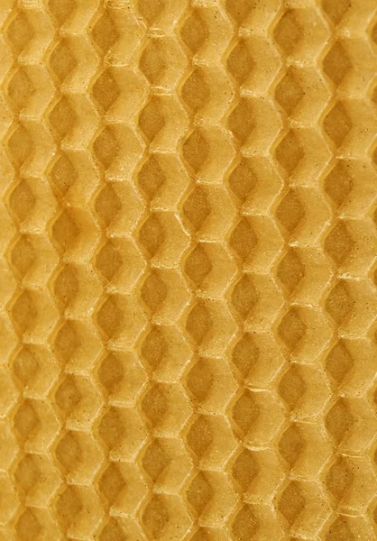 Plaster miodu pszczoły — Zdjęcie stockowe