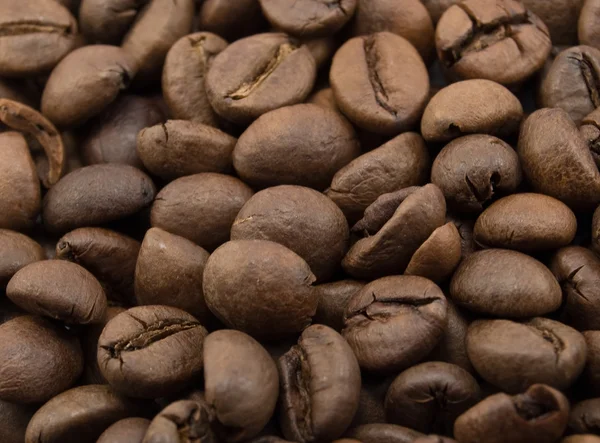 Grains Coffee Large Plan — Stock Photo, Image