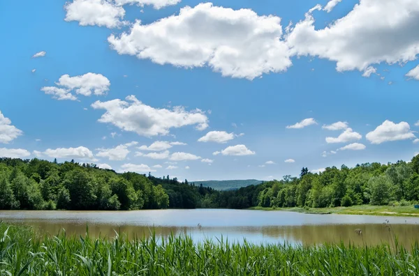 Paisagem. Um lago está em um fundo a floresta e o céu — Fotografia de Stock