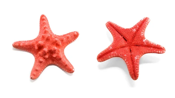 Estrella de mar —  Fotos de Stock