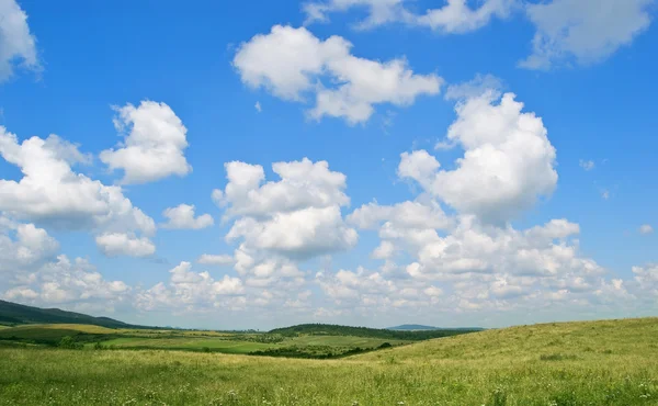stock image Summer. Green field. Sky is with clouds