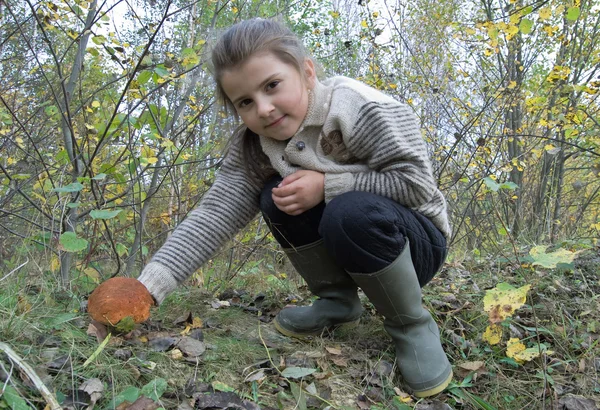 Little Girl Searches Mushrooms Autumn Forest — Stock Photo, Image