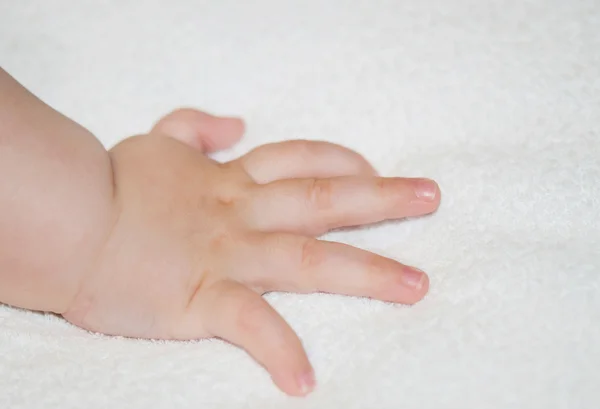 Рука Немовлята Білому Рушнику — стокове фото
