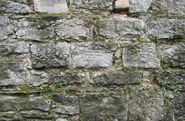 Текстура Стіни Фортеці — стокове фото