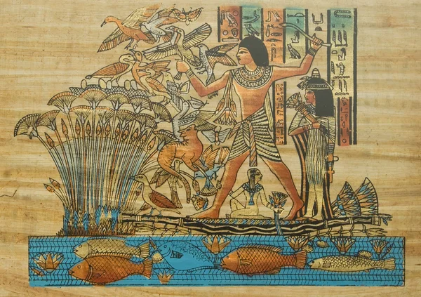 Папирус — стоковое фото