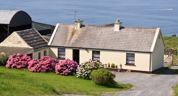Linda cabaña irlandesa junto al océano en alquiler — Foto de Stock