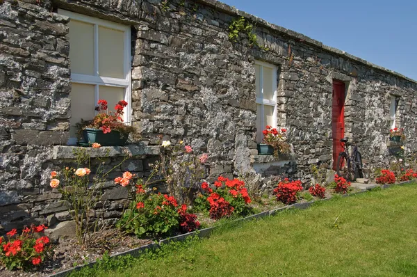 Schilderachtige platteland Ierse huisje met fiets en rozen — Stockfoto
