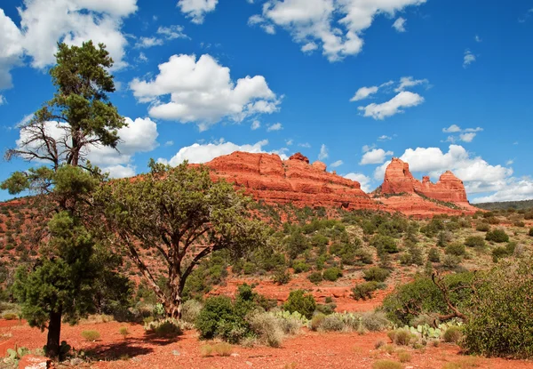 Malebná červené kamenná krajina sedona, v Arizoně — Stock fotografie