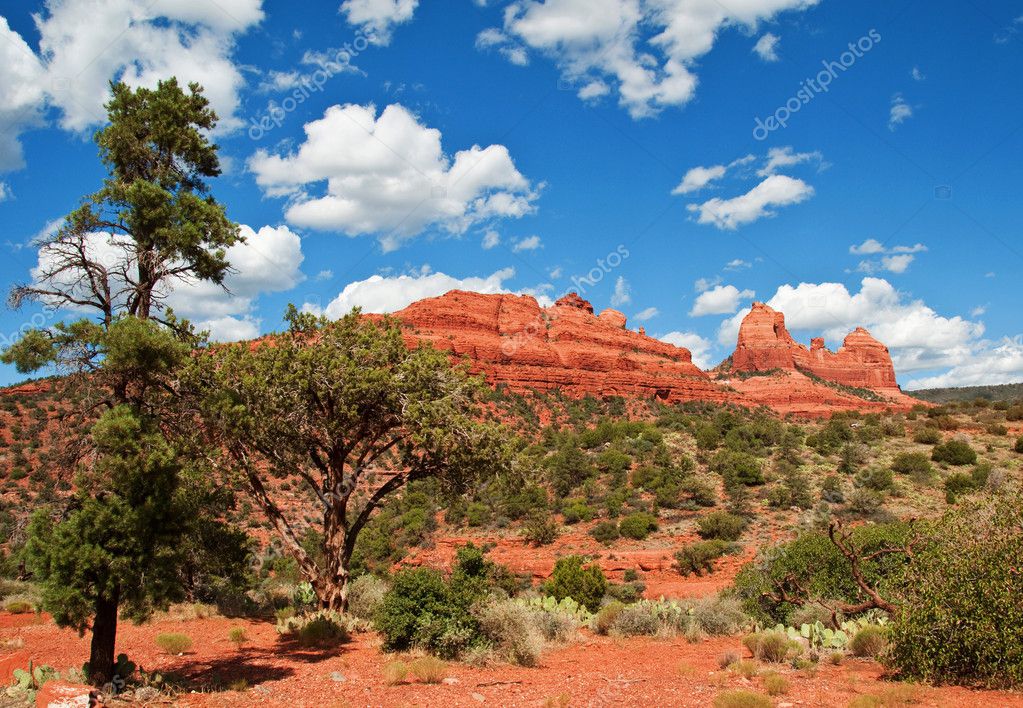 Scenic red stone landscape of sedona, in arizona — Stock Photo © UTBP