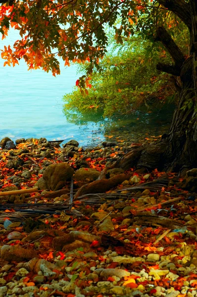 秋天的风景 — 图库照片