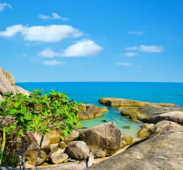 Costa tropical — Fotografia de Stock