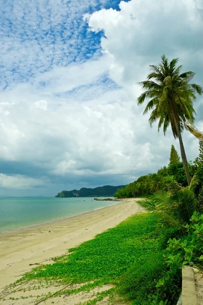 Tropische Meereslandschaft — Stockfoto