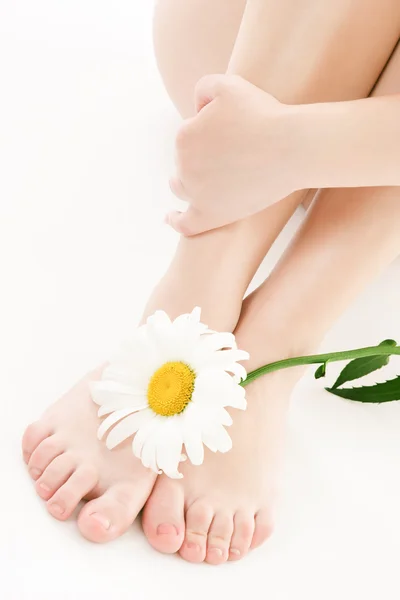 Mooie benen en daisy flower — Stockfoto