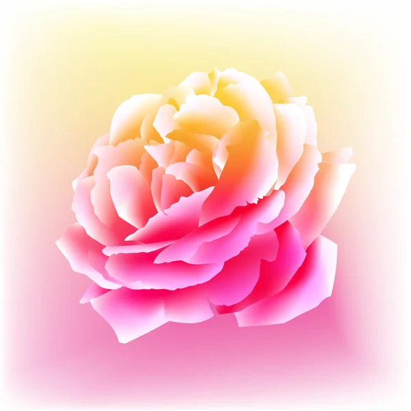 stock vector Watercolor Rose Bloom