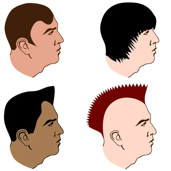 Various Hairstyles — Stock Vector