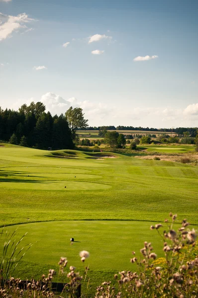 stock image Hole on a Golf Course