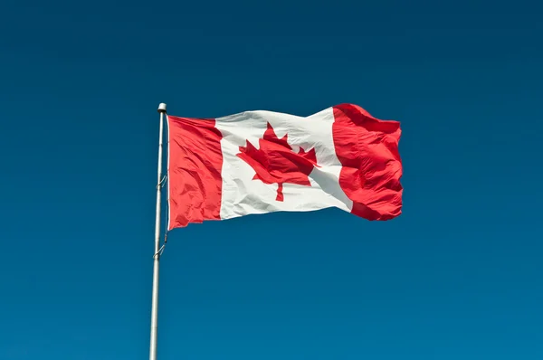 stock image Waving Canadian Flag with Blue Sky