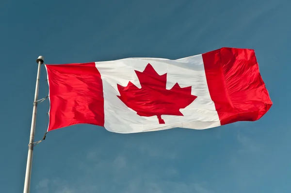 Canadian flag waving in the wind — Stock Photo © pandionhiatus3 #24224161