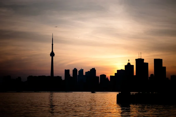 Торонто гавань на заході сонця — стокове фото