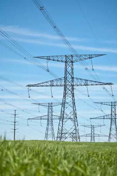 elektrik hatları ile mavi gökyüzü ve yeşil çimen