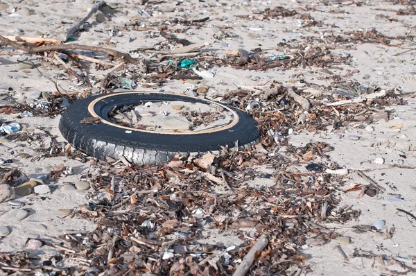 stock image Tire and Other Litter on a Beach