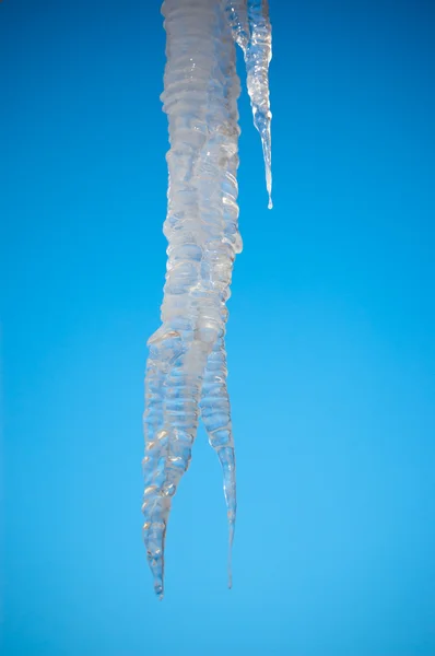 Icicle with Blue Sky — Stock Photo, Image