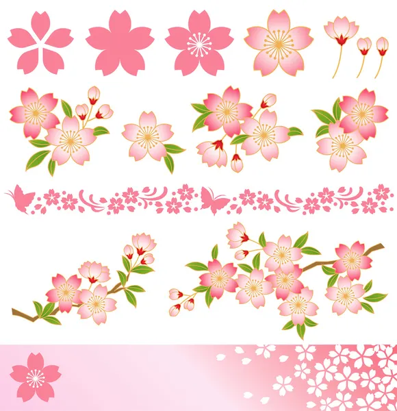 Fleur de cerisier — Image vectorielle
