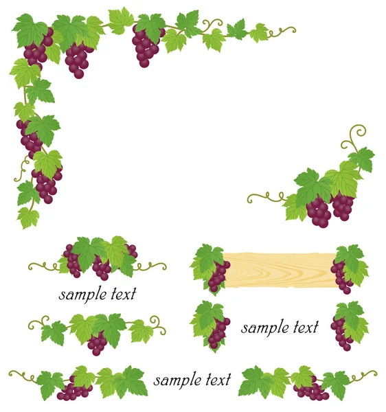Декоративні винограду ілюстрація — стоковий вектор
