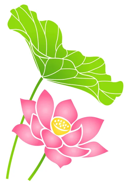 Lotosový květ — Stockový vektor