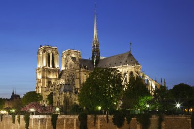 Notre dame de paris gece, paris, Fransa