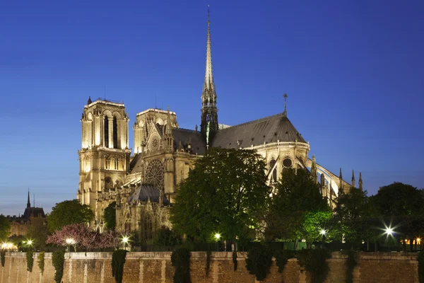 Notre Dame de Paris por la noche, Paris, Francia — Foto de Stock