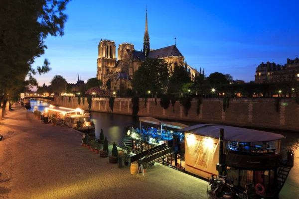 Notre Dame de Paris på natten, Frankrike — Stockfoto