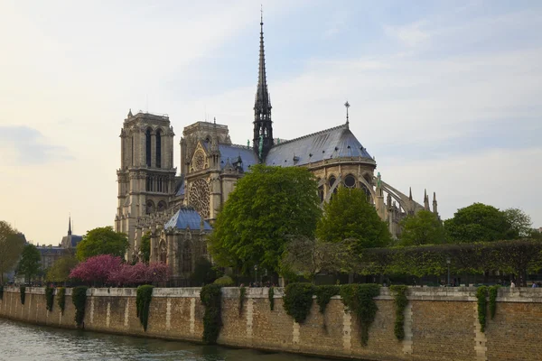 Notre Dame de Paris, Francia — Foto de Stock