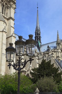 Katedral notre dame de paris. Paris