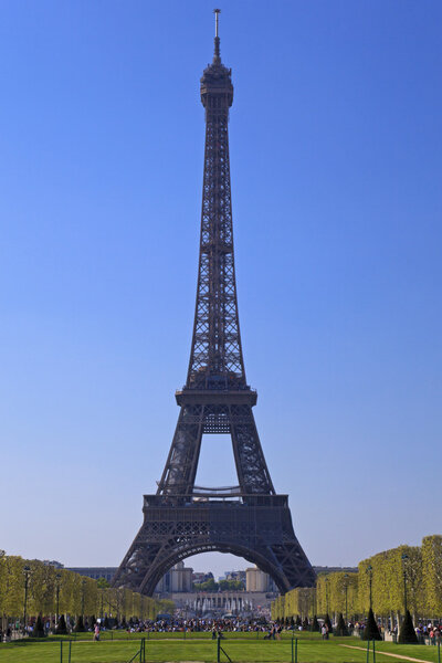 View of the Eiffel Tower from Park du Champ de Mars, Paris, France