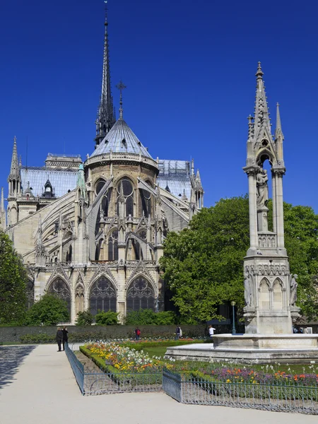 Notre Dame en París. — Foto de Stock