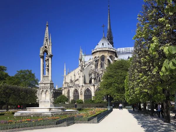 Notre Dame Katedrála Zahrada Paříž — Stock fotografie