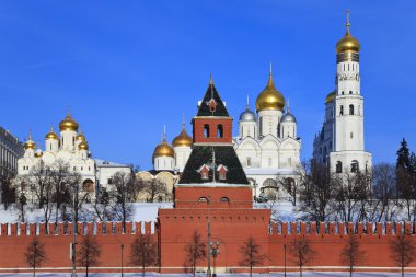 The cathedrals Moscow Kremlin. Russia. clipart