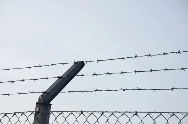 stock image Barb wire