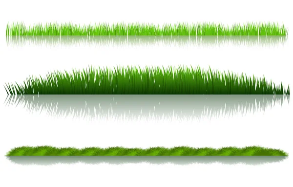 Green Grass Set White Background — Stock Vector